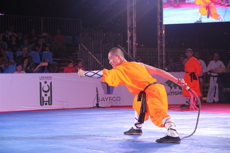 Martial Arts Festival